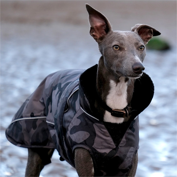 2024 Dryrobe Hundemantel V3 DRV3 - Black / Camo